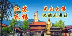 亚洲天天搞江苏无锡灵山大佛旅游风景区